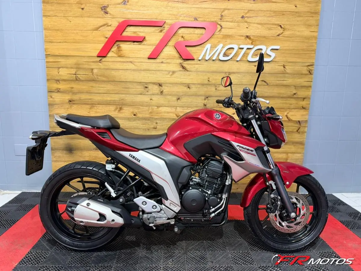 FZ 250 FAZER 